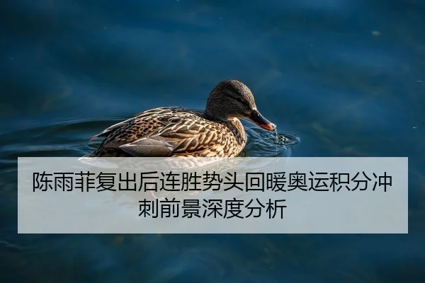 陈雨菲复出后连胜势头回暖奥运积分冲刺前景深度分析